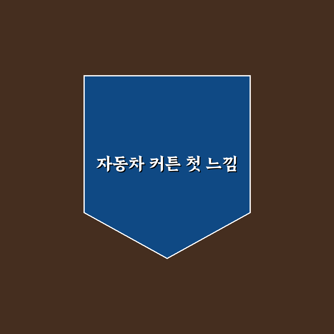 자동차 커튼 추천과 차박 프라이버시 높이는 설치 요령에 대한 리얼후기