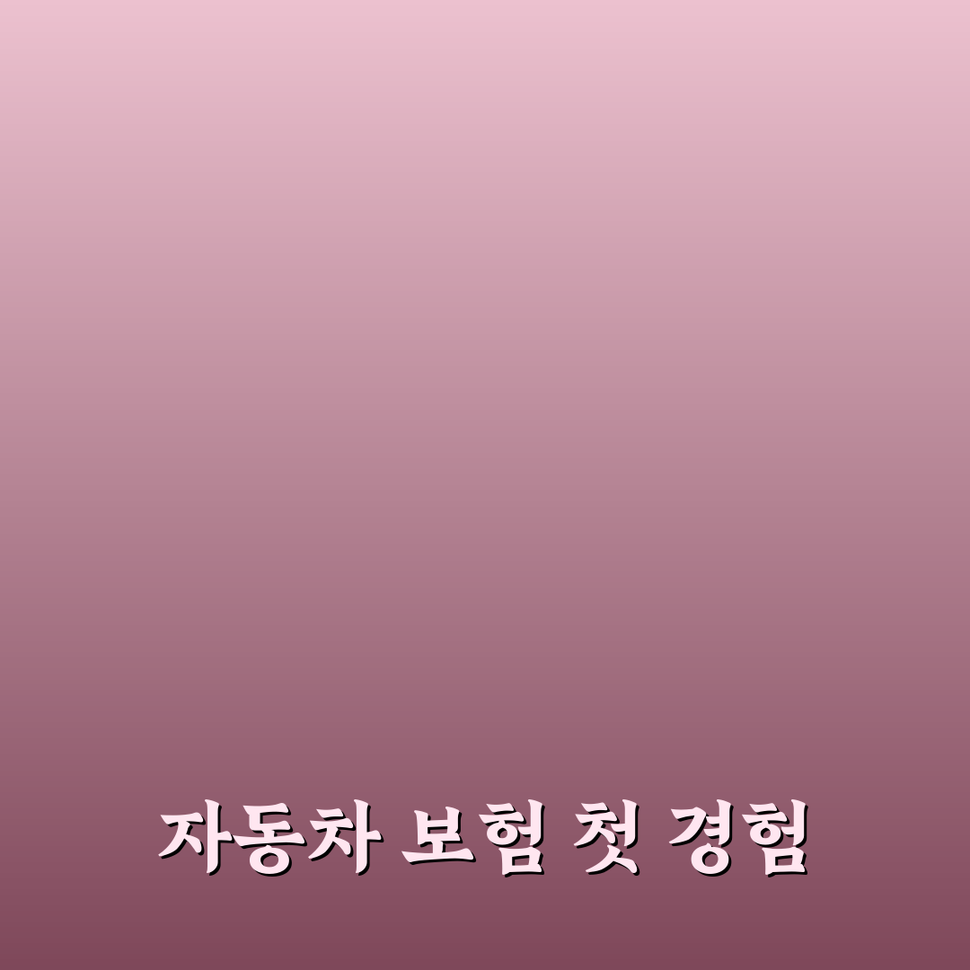 자동차 보험 다이렉트 가장 싼 곳 찾는 비교 기준 정리: 리얼후기 공유합니다