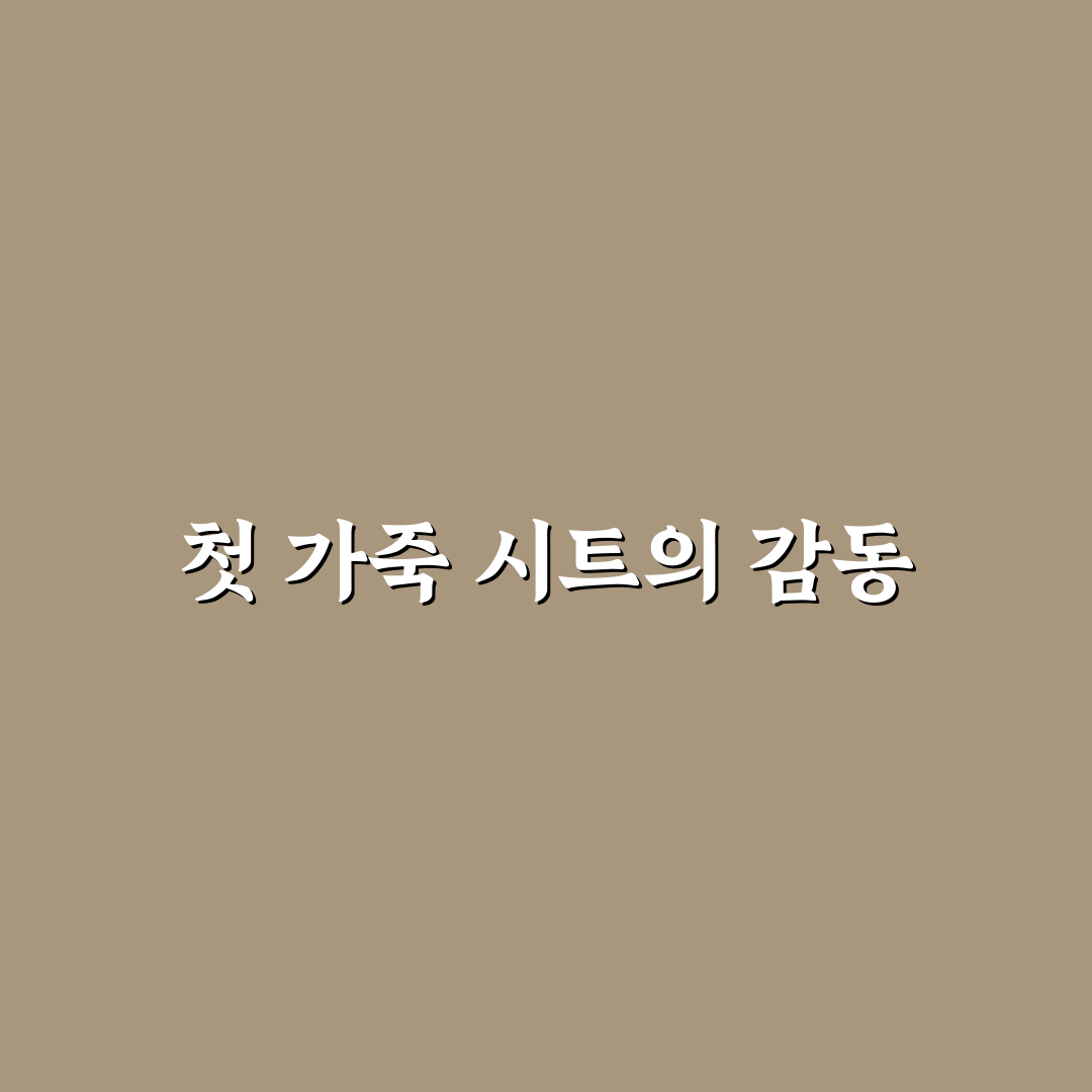 자동차 시트 가죽 종류 비교와 관리 쉬운 재질 찾기, 직접 써본 후기