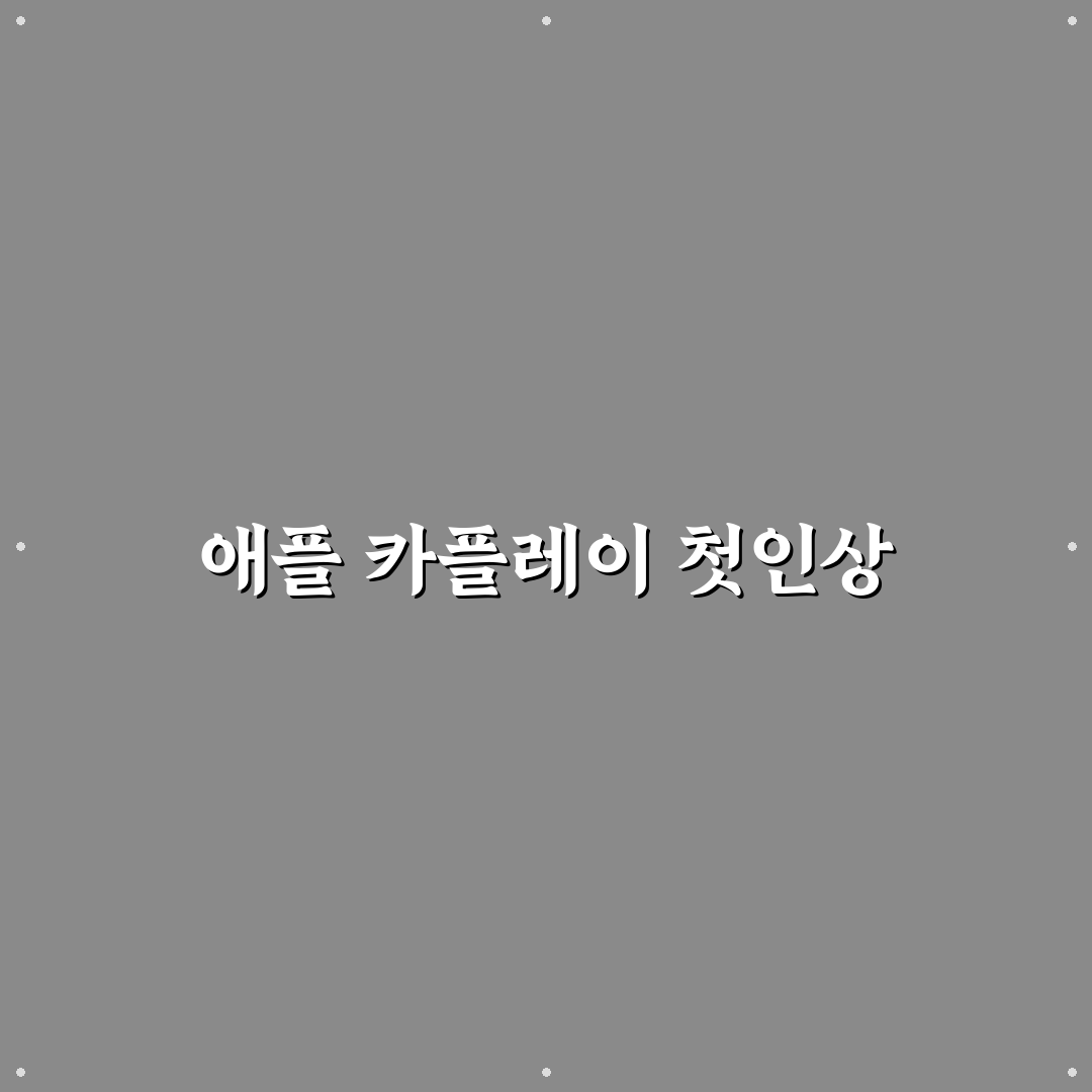 애플 카플레이 동글 추천과 연결 안정성 확인 포인트에 대한 사용후기