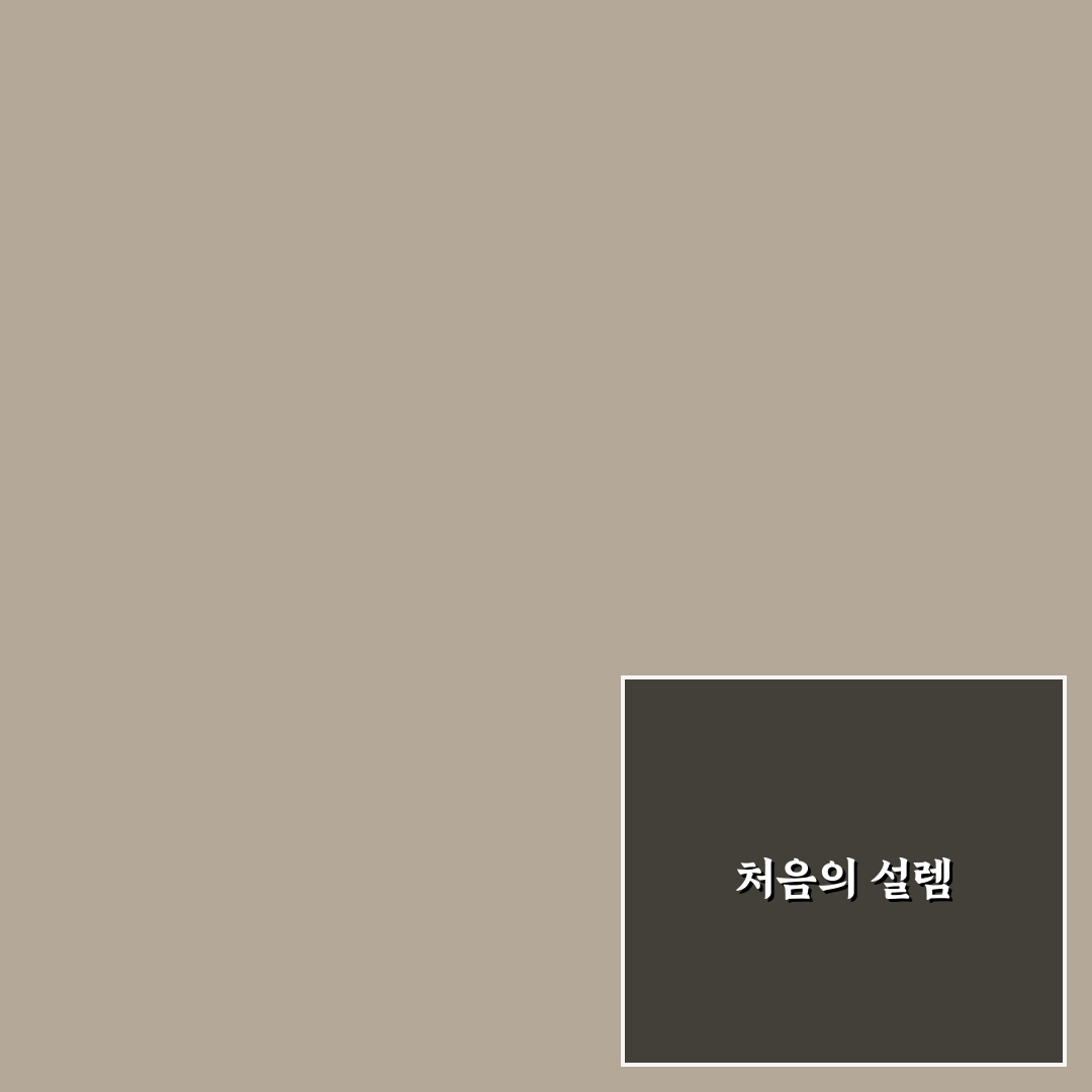 벤츠 스타클래스 가격 수준과 보증 조건 함께 비교해본 솔직후기