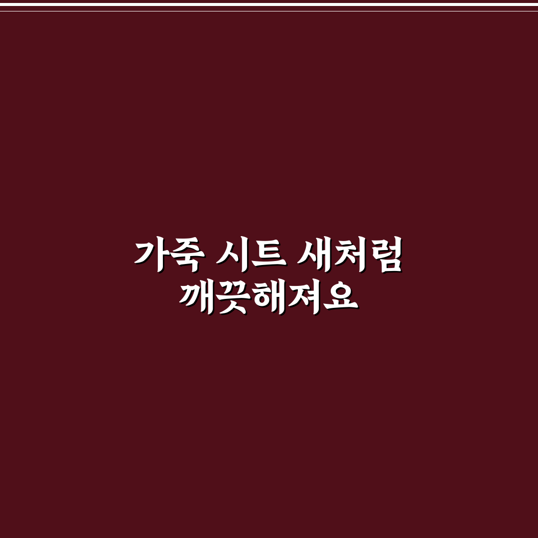 가죽 시트 클리너 활용법과 이염 줄이는 관리 순서 리뷰
