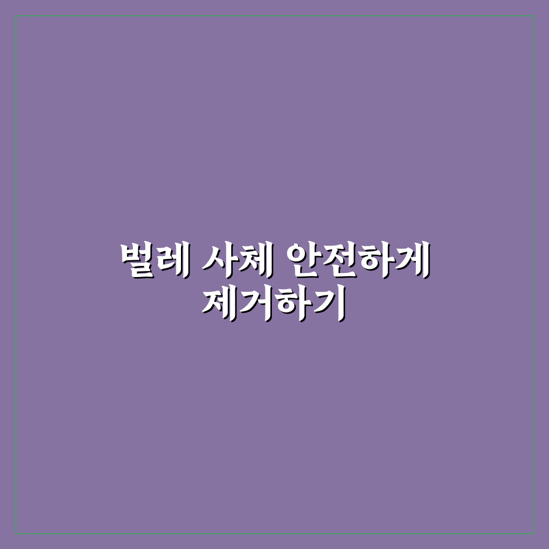 벌레 사체 제거제 도장 손상 없이 쓰는 방법 정리와 솔직 후기