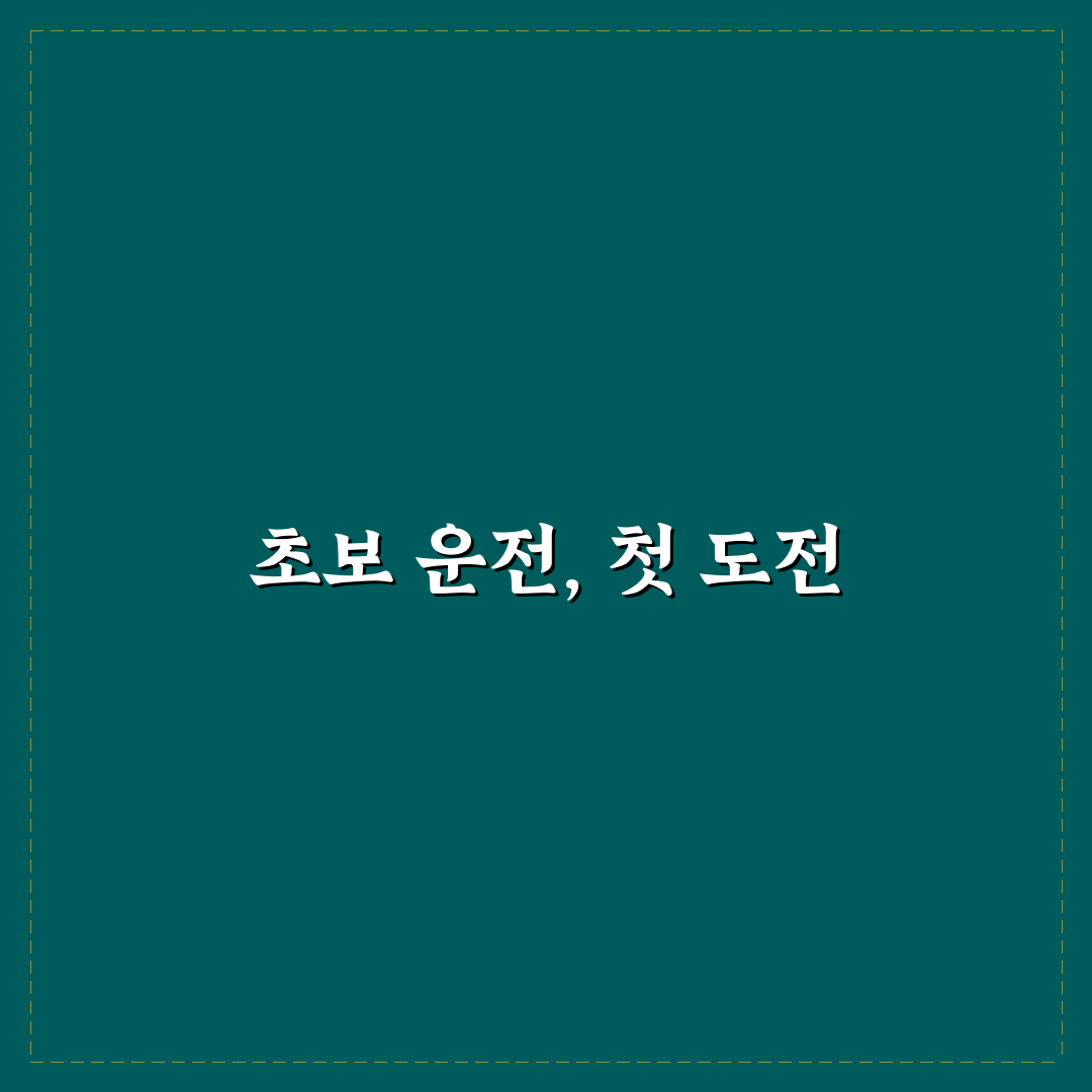 초보 운전 스티커 위치와 티 안 나게 붙이는 기준에 대한 솔직후기