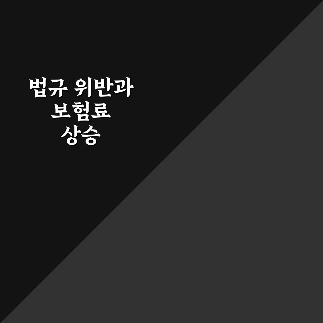 법규 위반 할증 기준과 보험료 오르는 폭 정리: 리얼후기