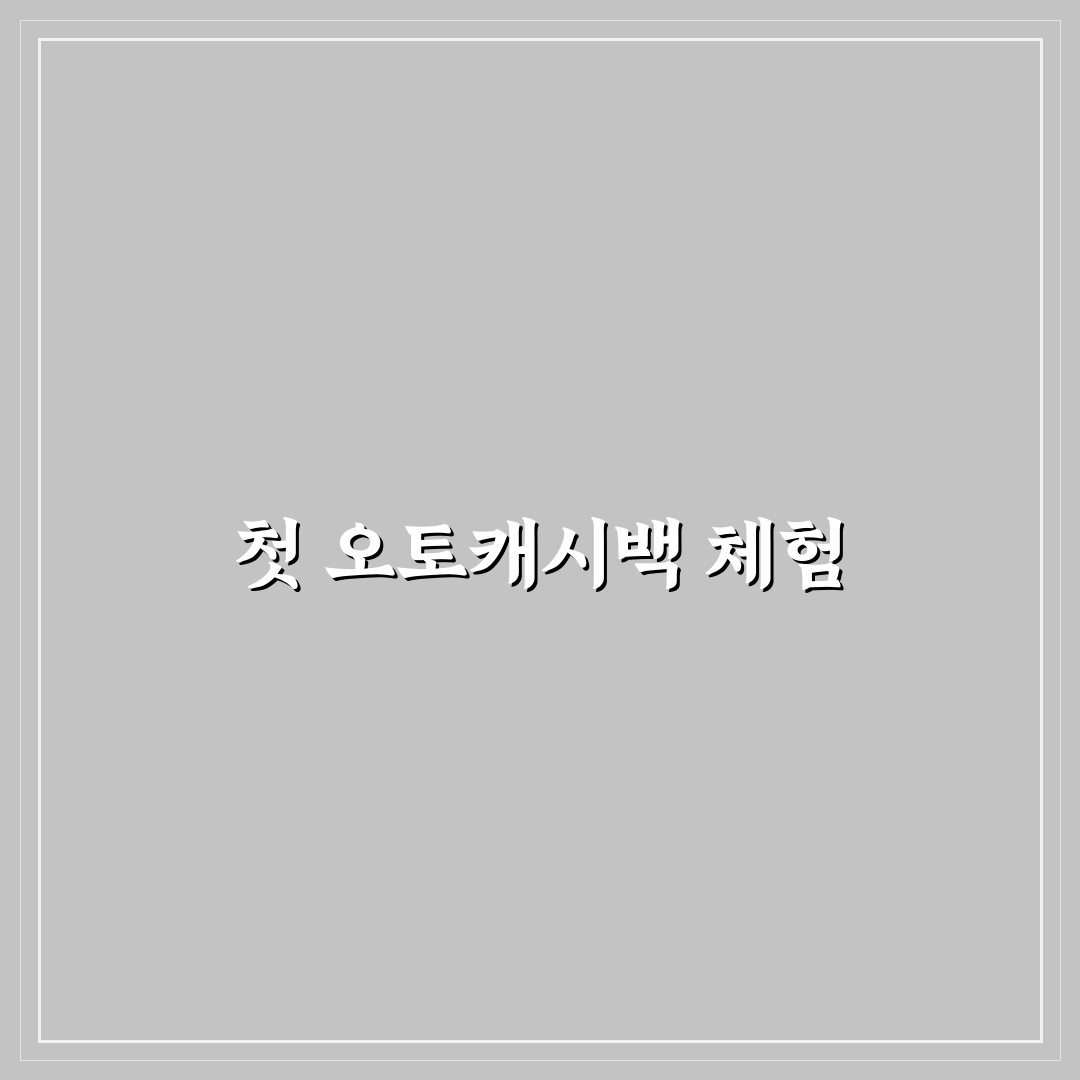 오토캐시백 한도 비교와 카드사별 실수령액 계산 포인트, 솔직후기