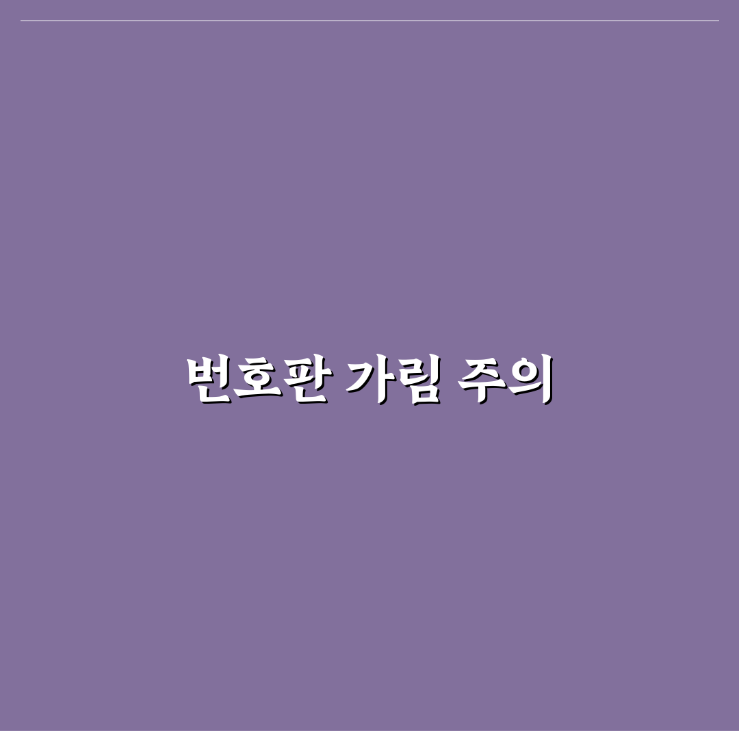자전거 거치대 후미형 선택 시 번호판 가림 주의점: 솔직후기