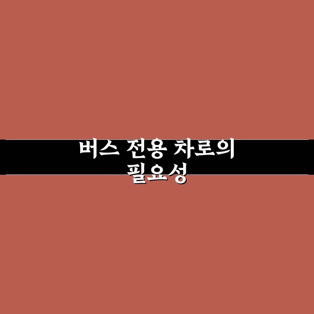 버스 전용 차로 진입 주의와 실선 구간 판별 요령, 직접 써본 후기