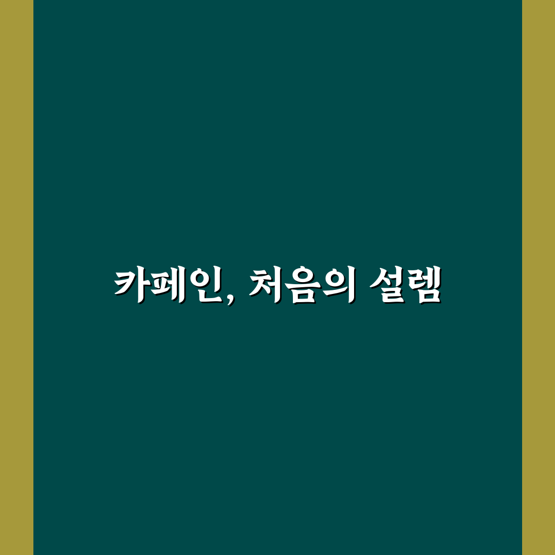 카페인 음료 효과 믿기 전 알아둘 지속 시간과 한계, 솔직후기