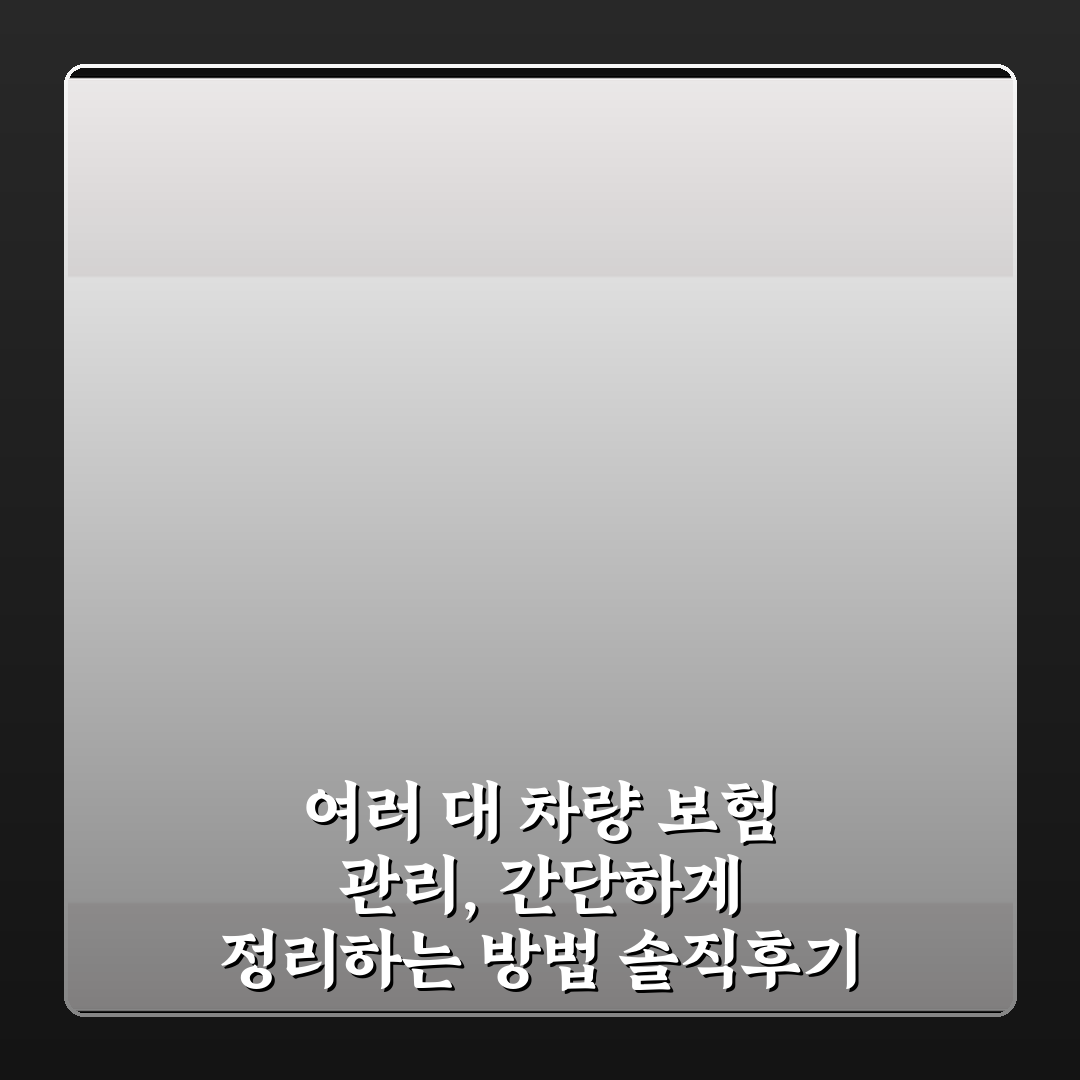 여러 대 차량 보험 관리, 간단하게 정리하는 방법 솔직후기