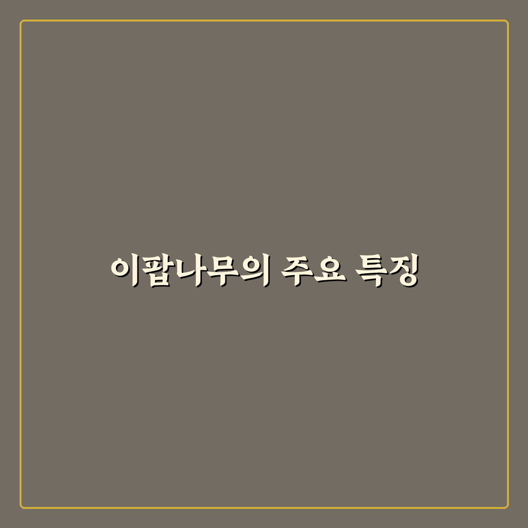 이팝나무 나무위키 정보와 특징 정리 알려드려요