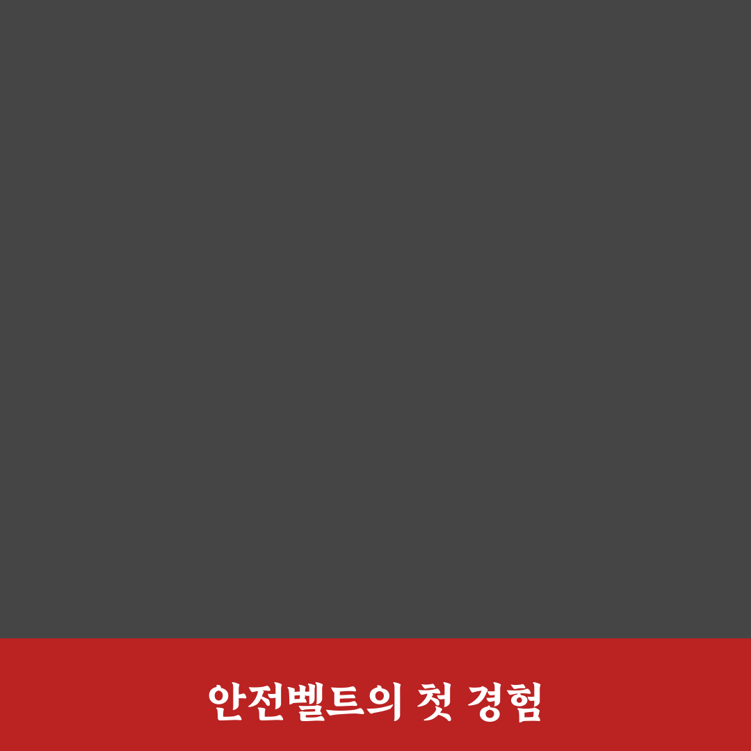 강아지 안전벨트 착용법과 길이 조절 핵심 포인트 솔직후기
