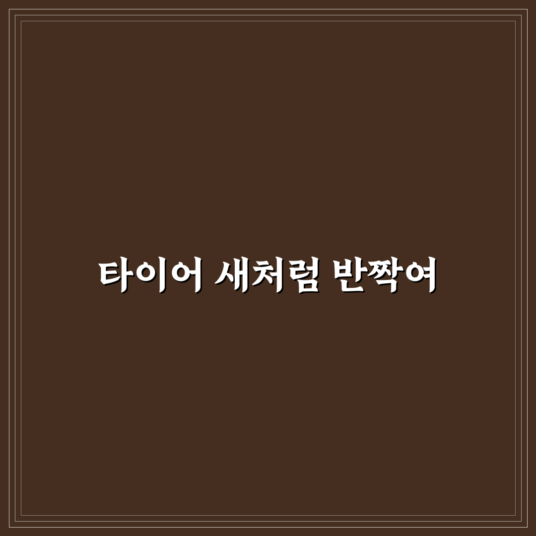 타이어 광택제 스프레이 지속력과 얼룩 없는 사용법 솔직후기