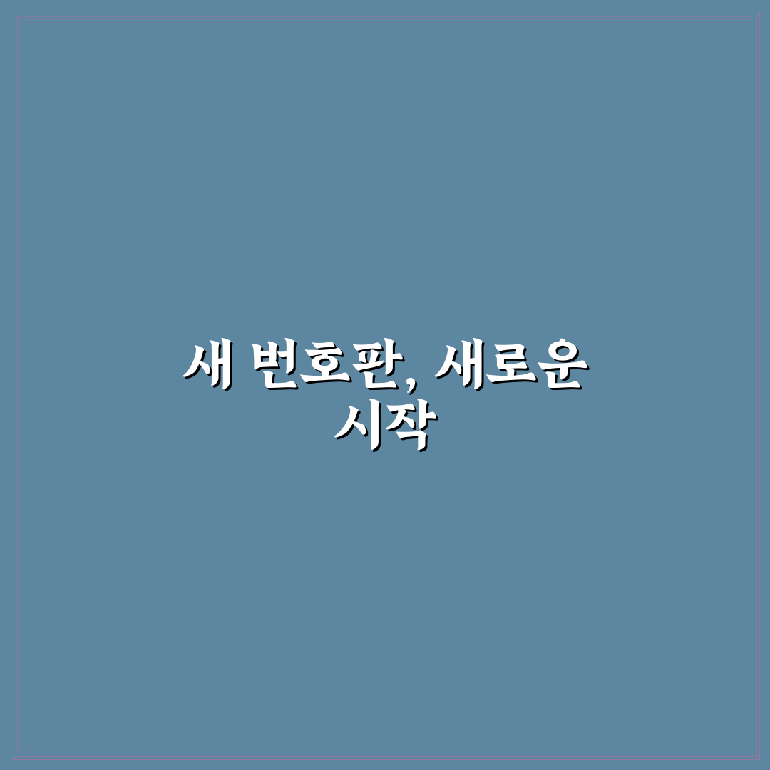 번호판 교체 비용과 재발급 사유별 차이 정리: 직접 써본 후기