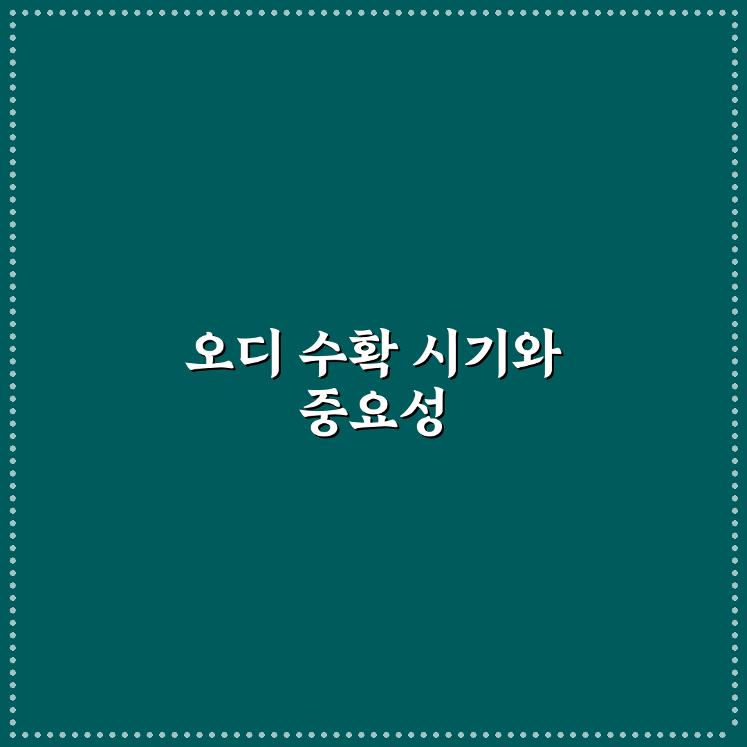 오디 수확시기와 꿀팁 초보자도 쉽게 이해하는 방법