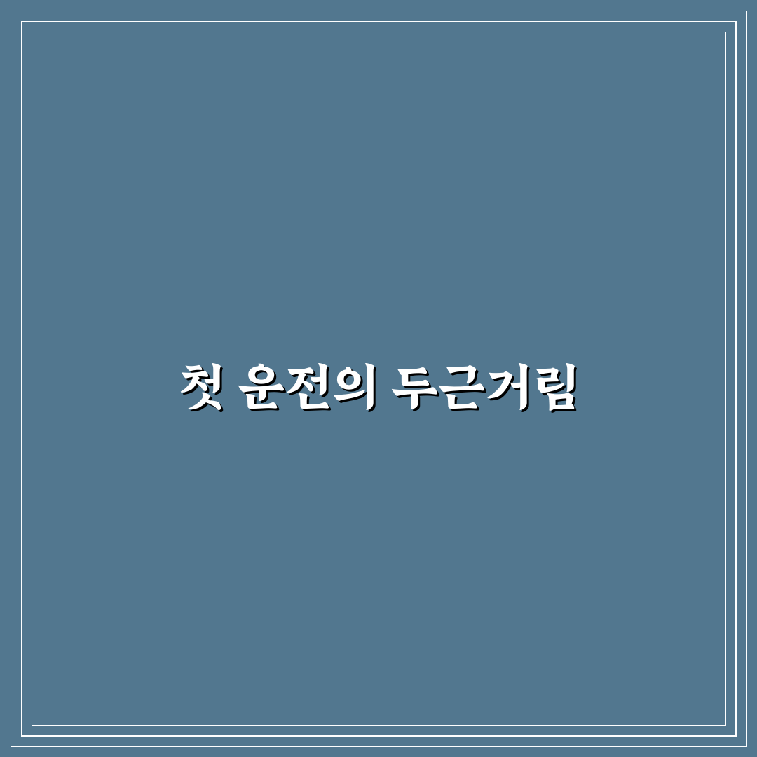 장롱 면허 탈출 5단계로 도로 감각 되찾는 순서: 솔직후기