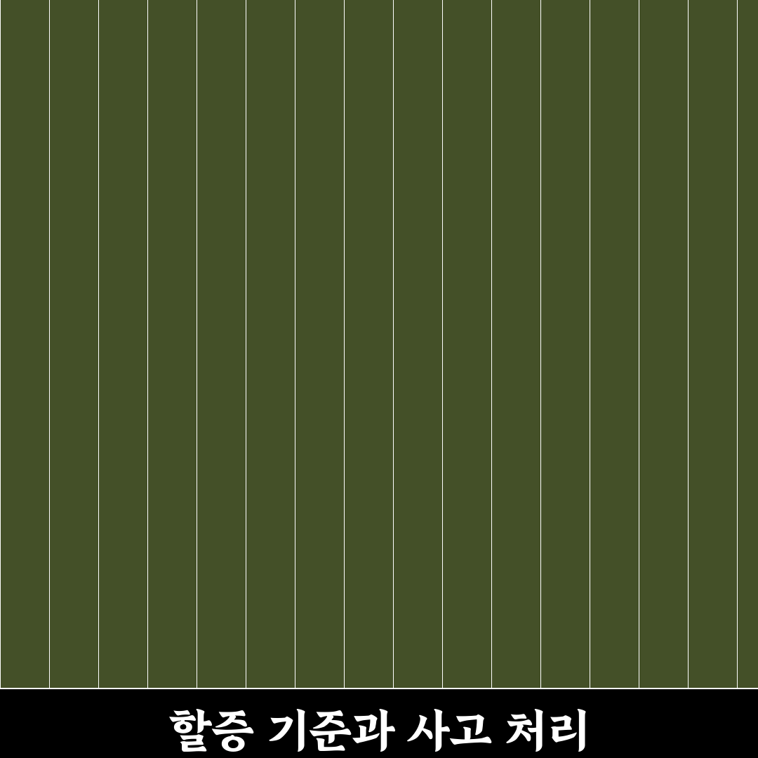 자동차 보험 할증 기준 금액과 사고 처리 선택 포인트, 솔직후기
