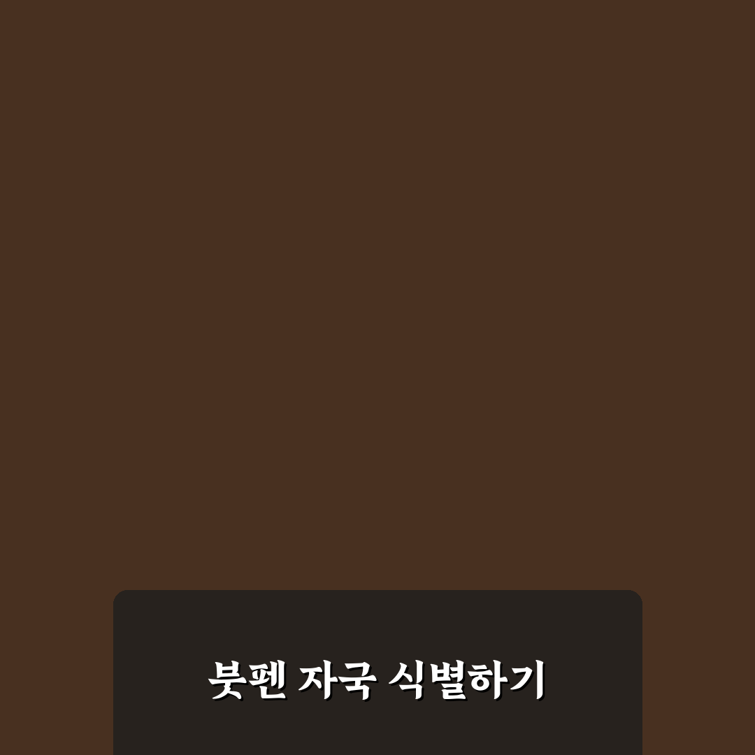 붓펜 도색 자국 찾는 법과 부분 수리 흔적 구분하기: 솔직후기