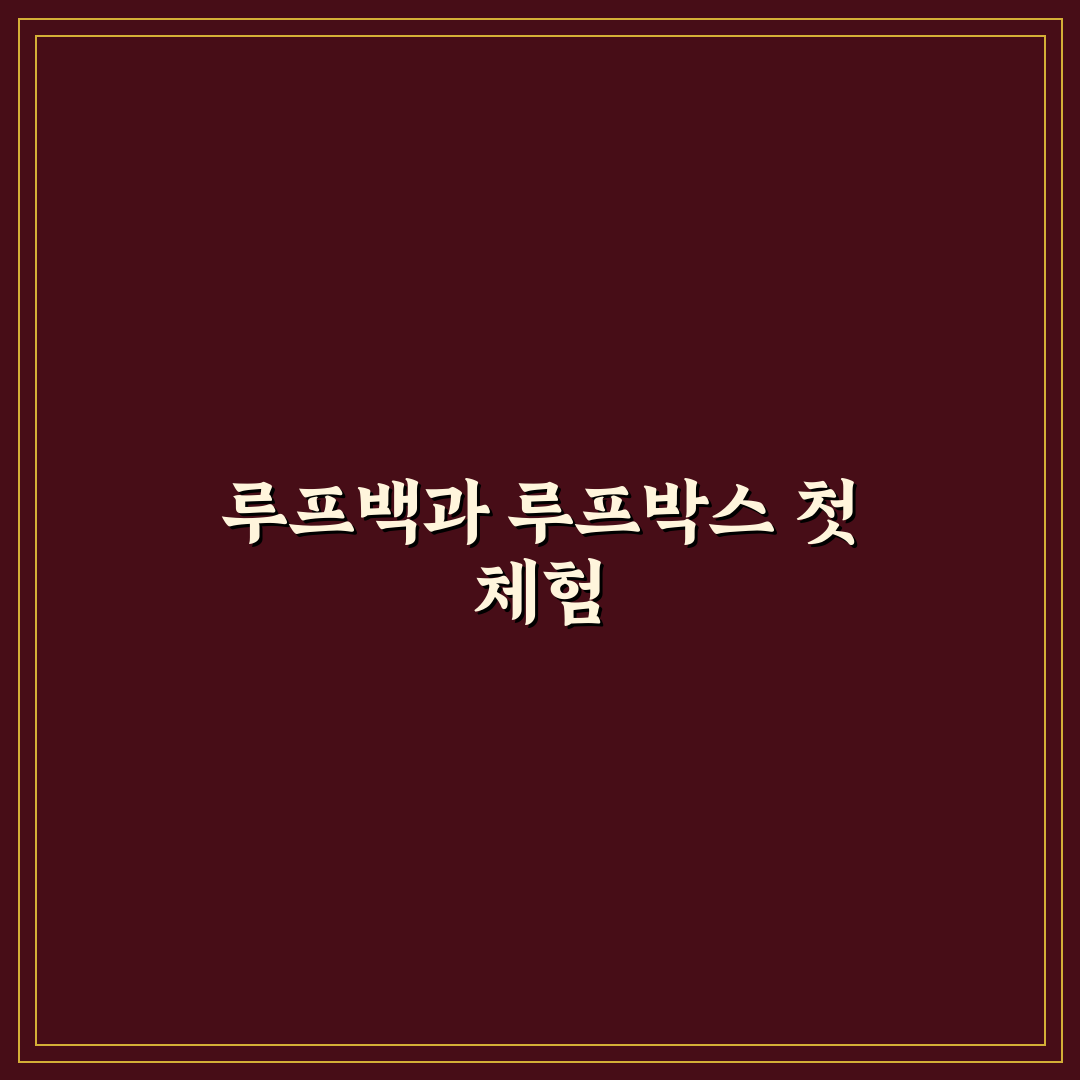 루프백과 루프박스 차이 적재량 기준으로 쉽게 보기: 직접 써본 후기