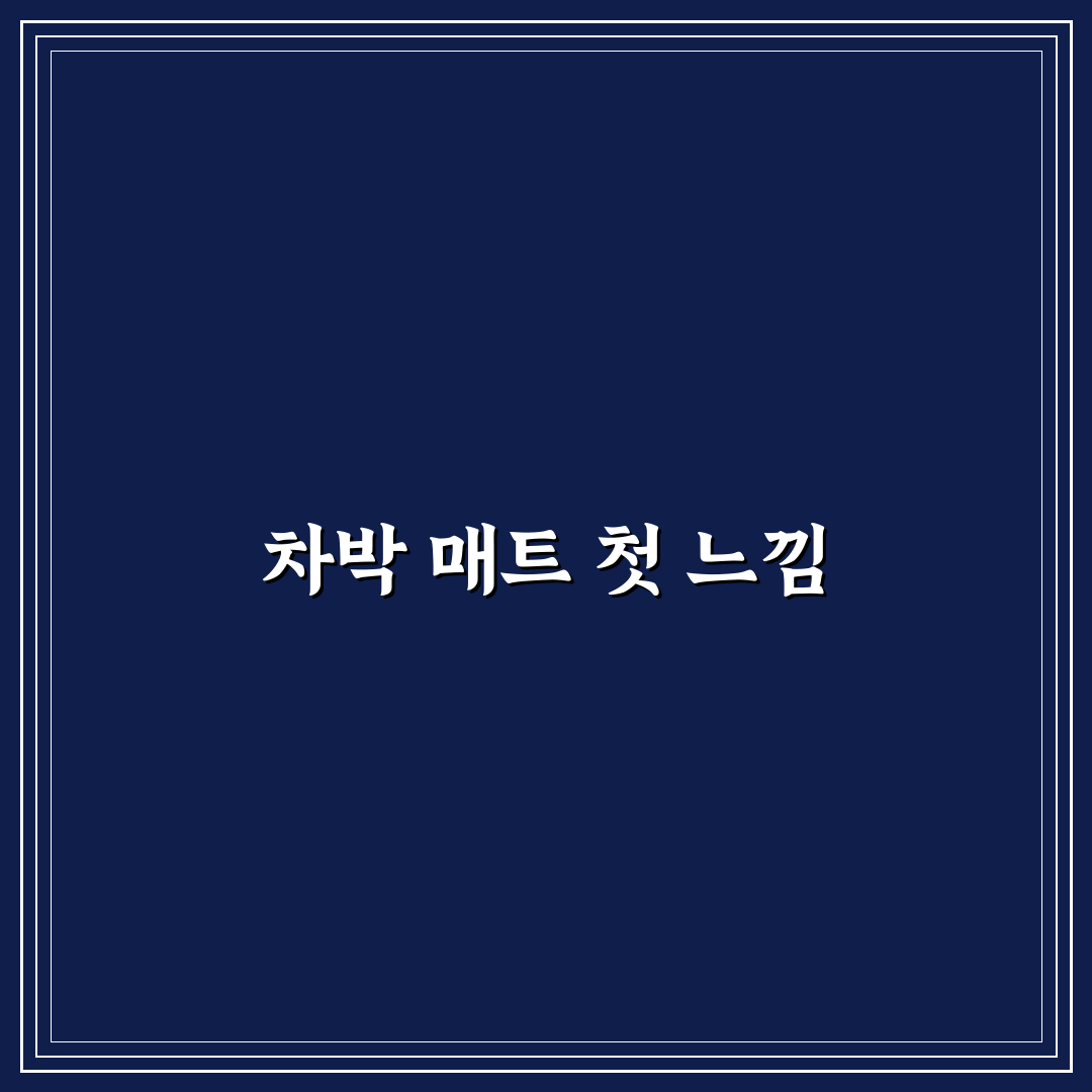 캠핑용 차박 매트 추천과 차종별 사이즈 고르는 법: 사용 후 직접 써본 후기