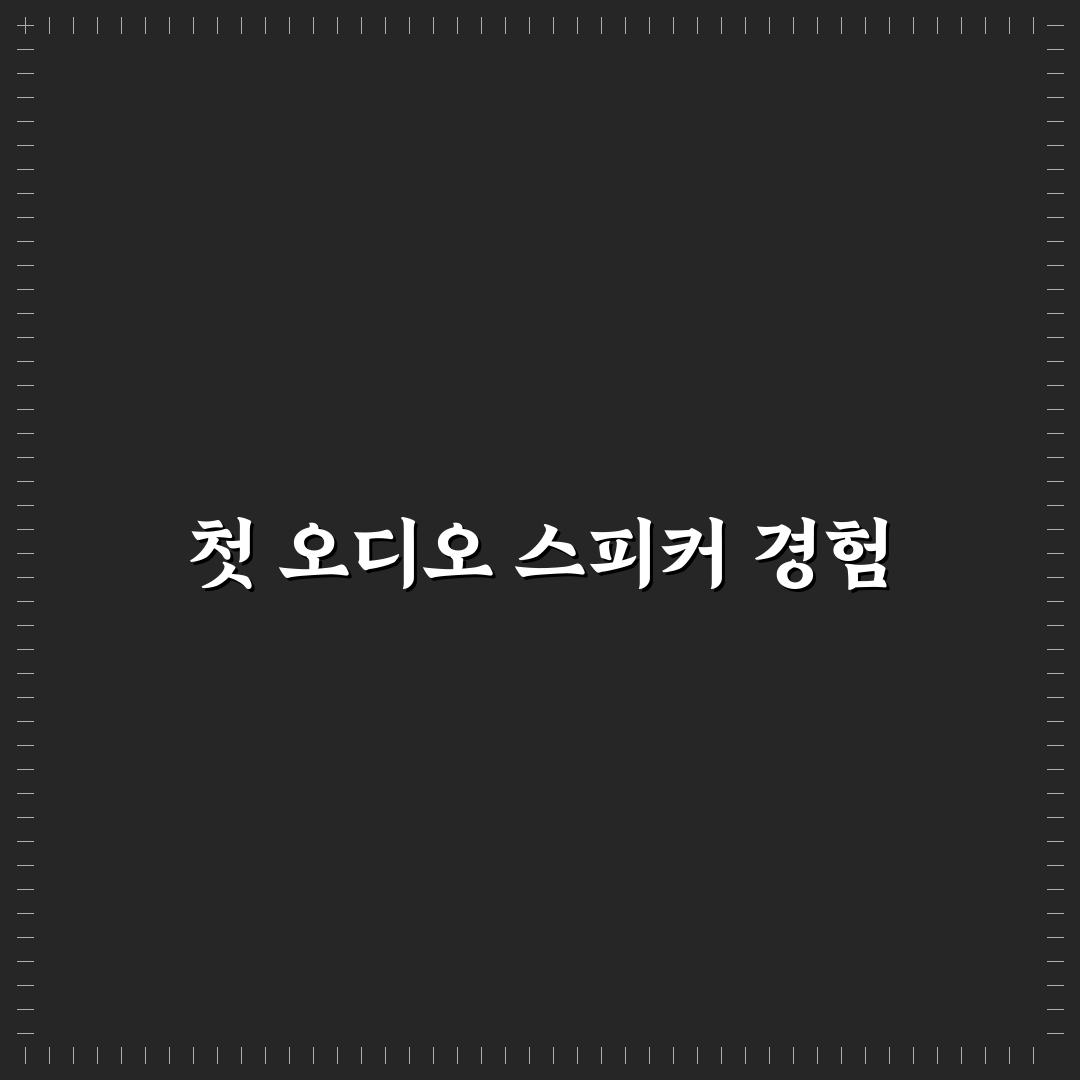 오디오 스피커 체크 순서와 잡음으로 알 수 있는 문제에 대한 솔직후기
