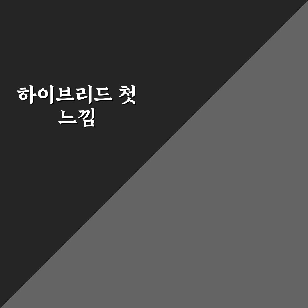 하이브리드 자동차 실제 연비와 공인연비 차이 비교, 솔직후기 입니다