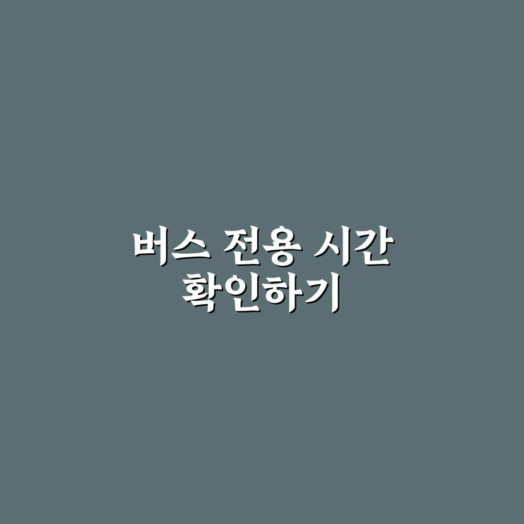 버스 전용 차로 시간대 몰라서 위반하지 않는 체크법, 솔직후기