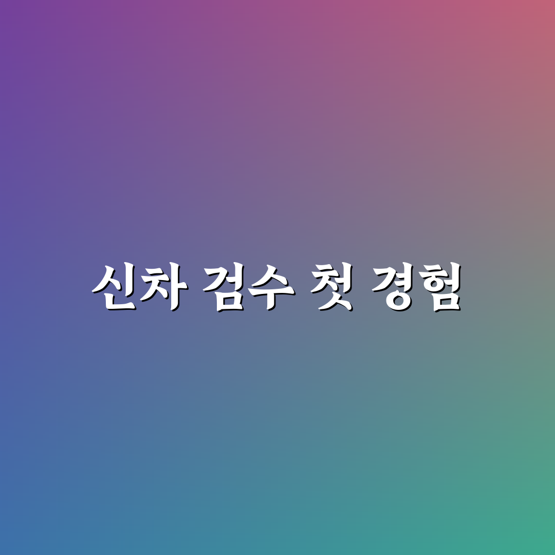 신차 검수 대행 가격이 아깝지 않은 경우와 셀프 기준에 대한 솔직후기