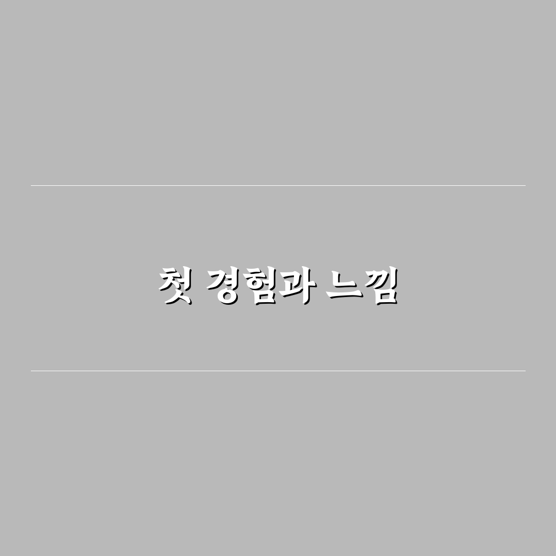 카히스토리 활용 순서와 조회 결과 해석하는 핵심 포인트에 대한 리얼후기