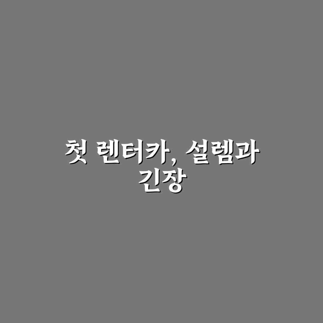 렌터카 이용 시 면책금 구조와 초보자가 놓치기 쉬운 점에 대한 솔직후기