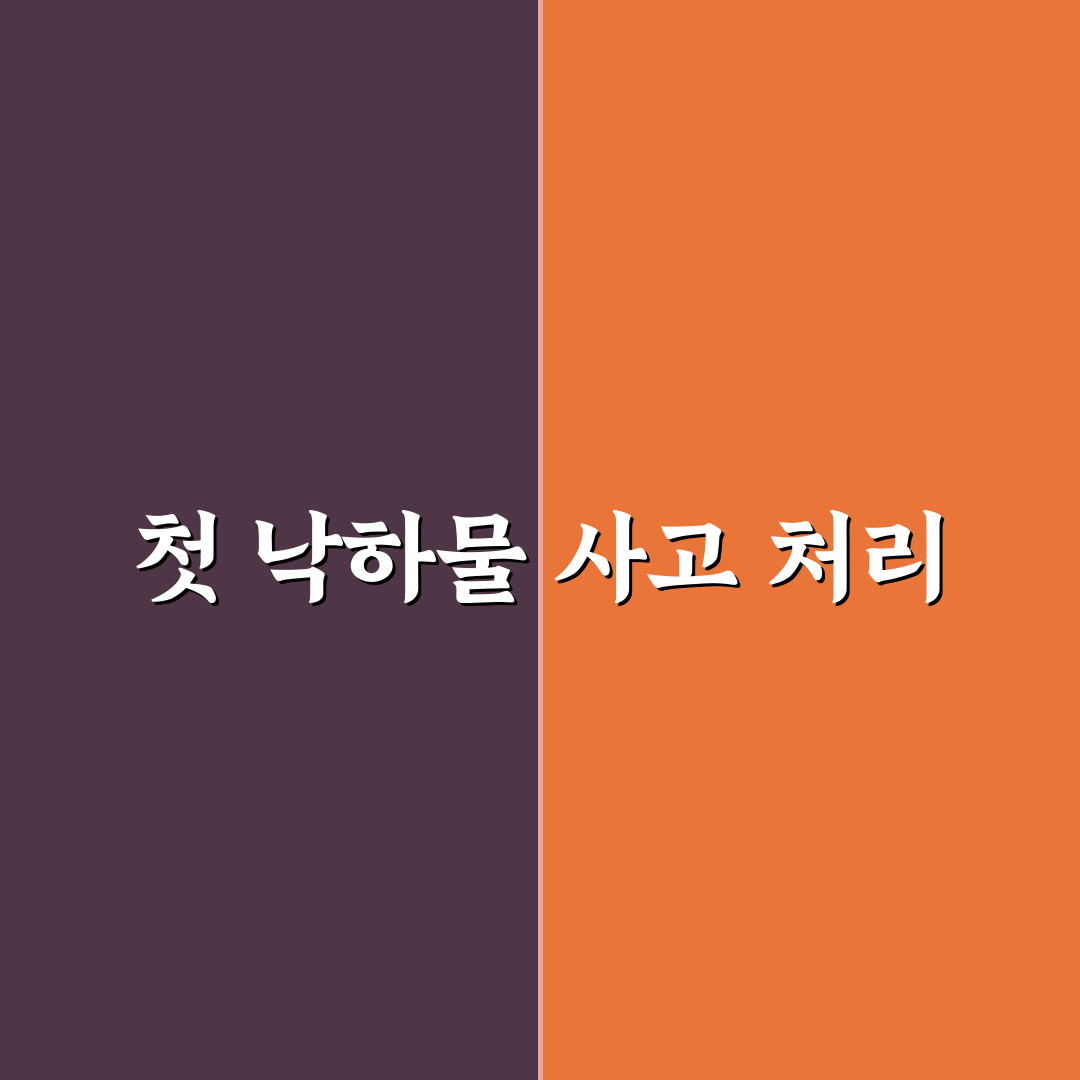 낙하물 사고 보험 처리 가능한 경우와 증빙 요령에 대한 솔직후기