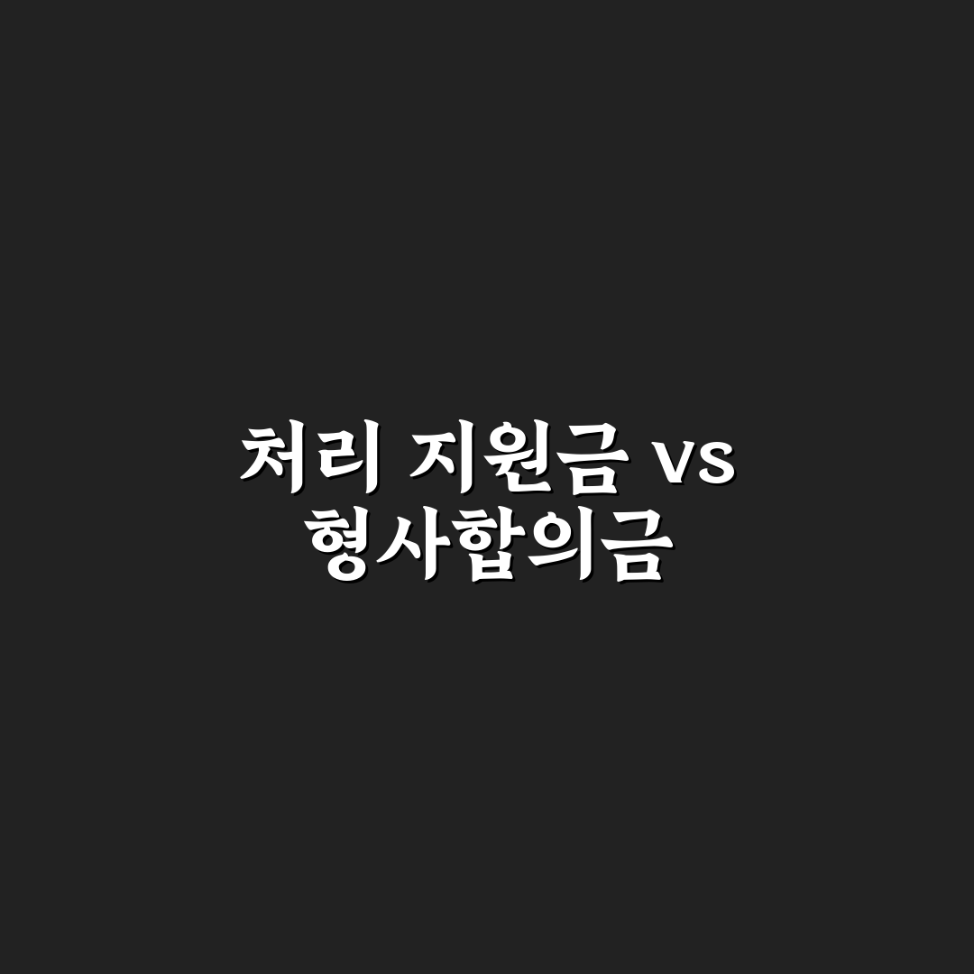 교통사고 처리 지원금 형사합의금과 차이 알아보기, 솔직후기