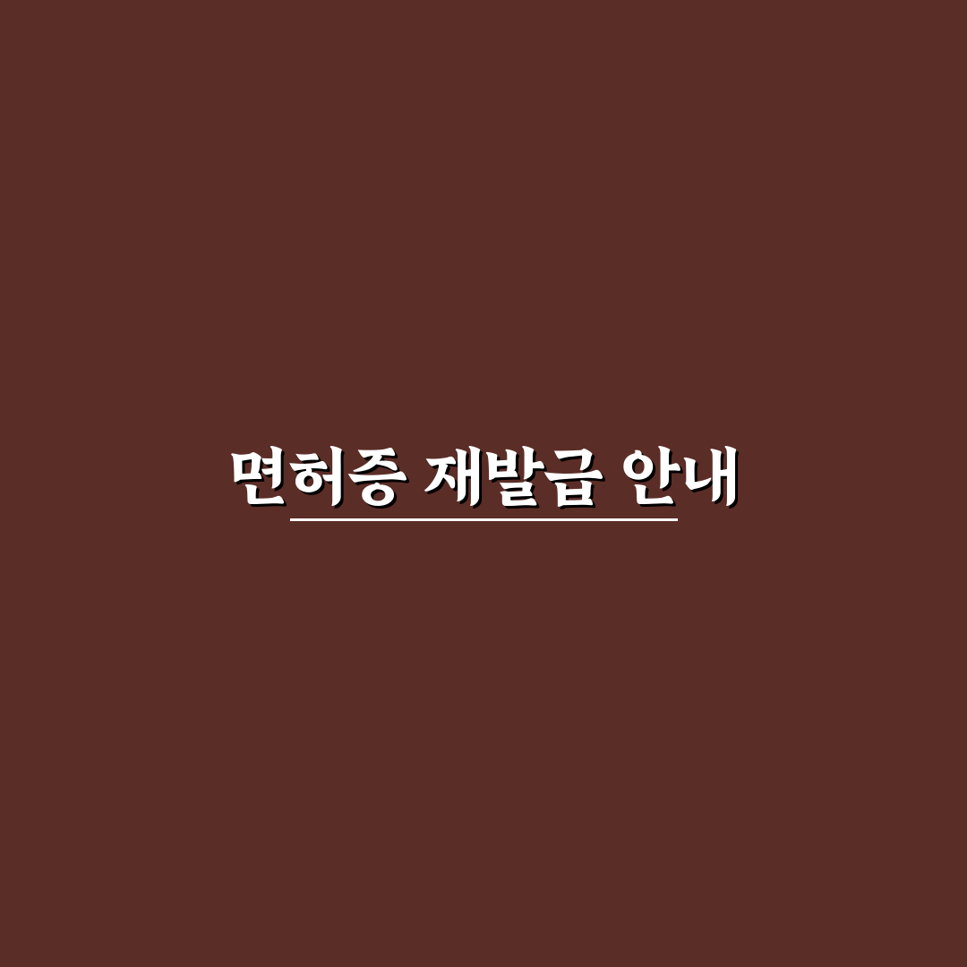 면허증 분실 재발급 절차와 온라인 신청 가능 여부 정리: 사용후기
