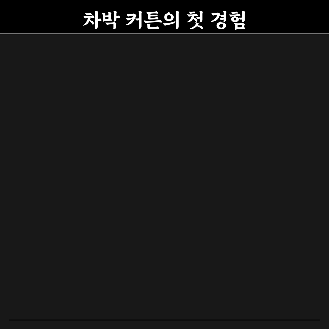 차박 커튼 암막 성능과 프라이버시 높이는 설치 팁, 리얼후기