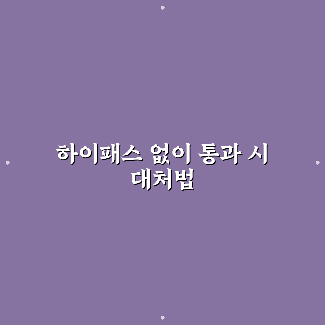 하이패스 없을 때 통과하면 생기는 일과 대처 순서에 대한 솔직후기