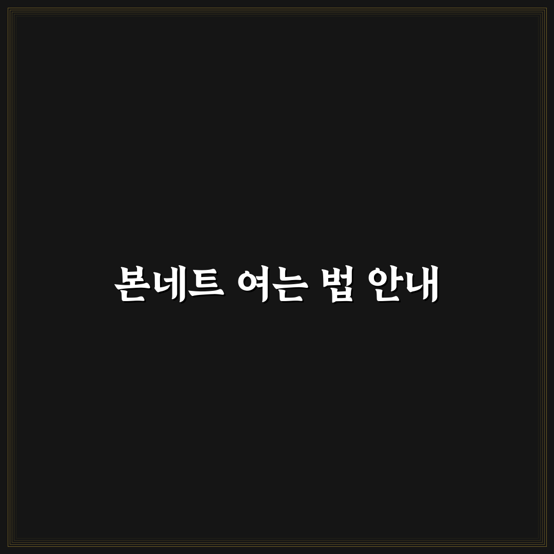 본네트 여는 방법과 잠금 해제 레버 찾는 순서 정리, 직접 써본 후기