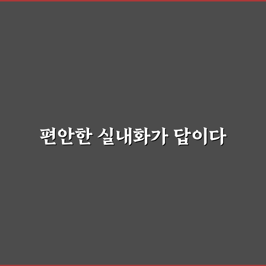 족저근막염 실내화 추천과 선택 꿀팁 알려드려요