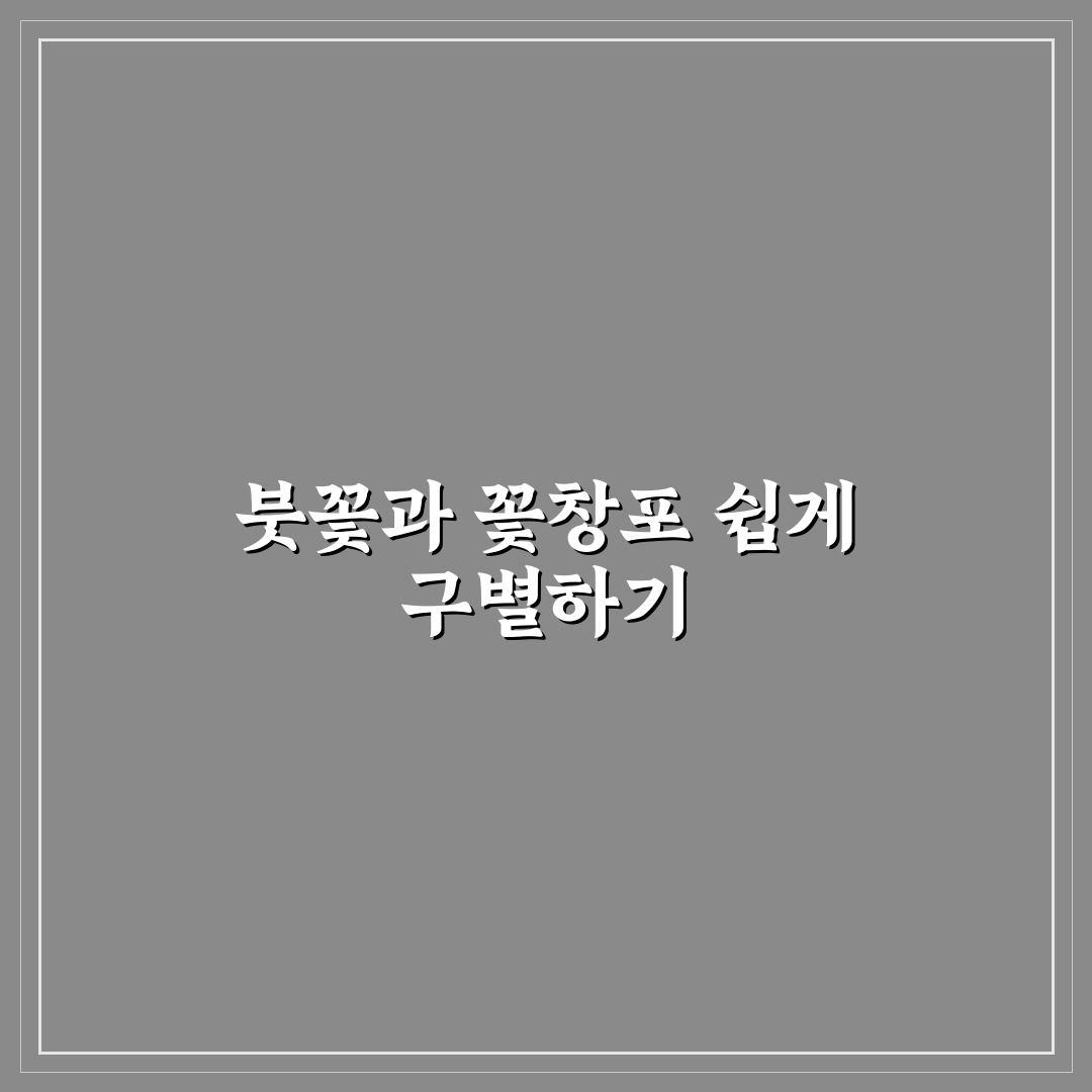 붓꽃 꽃창포 차이 쉽게 비교하는 방법과 꿀팁