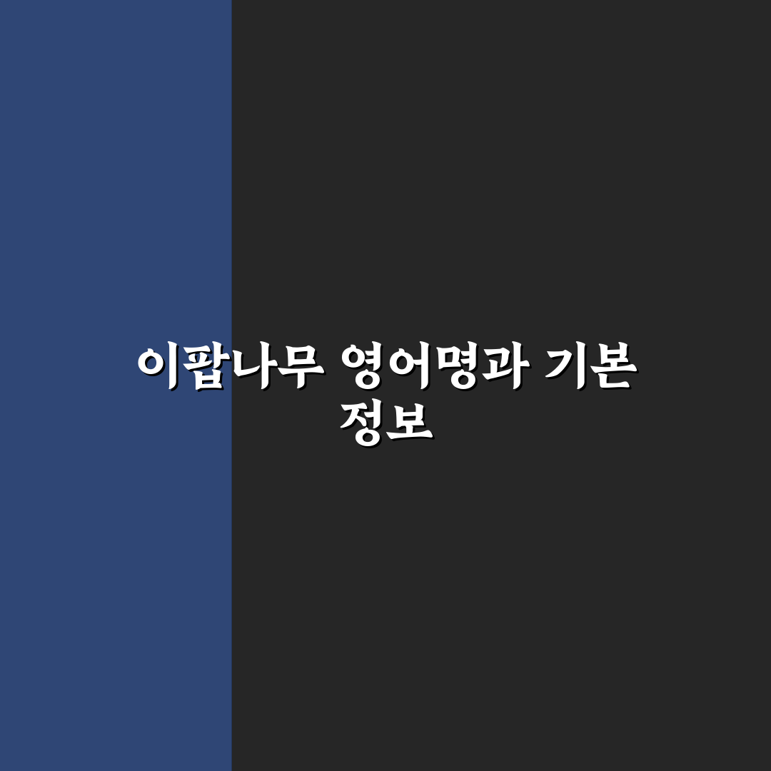 이팝나무 영어로 알려드려요 초보자도 쉬운 표현법