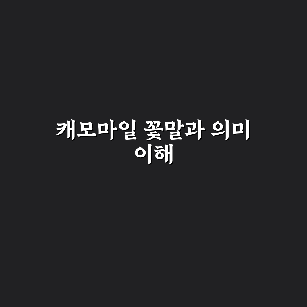 캐모마일 꽃말과 의미 쉽게 알려드려요 정리