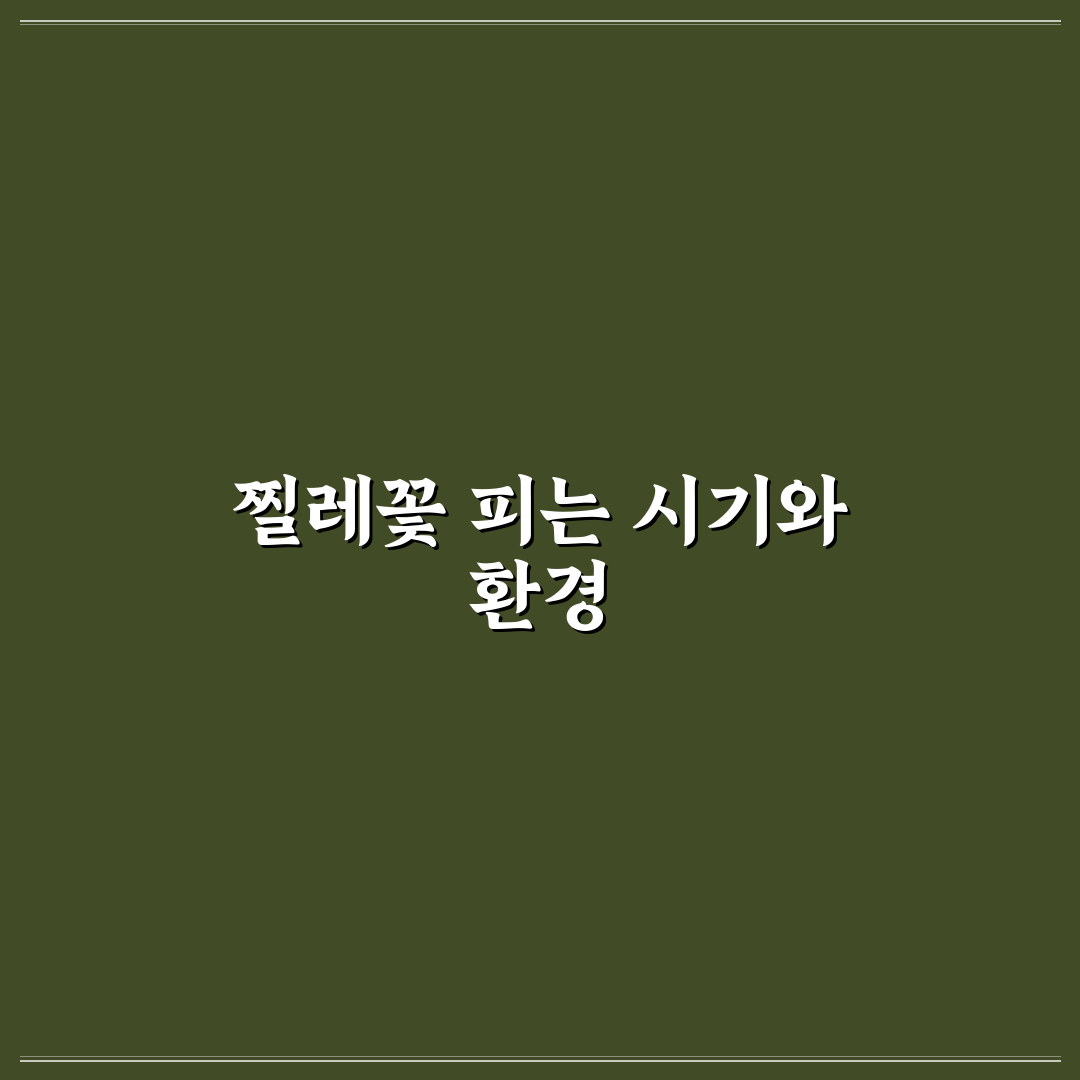 찔레꽃피는시기와 관리법 꿀팁 쉽게 알려드려요