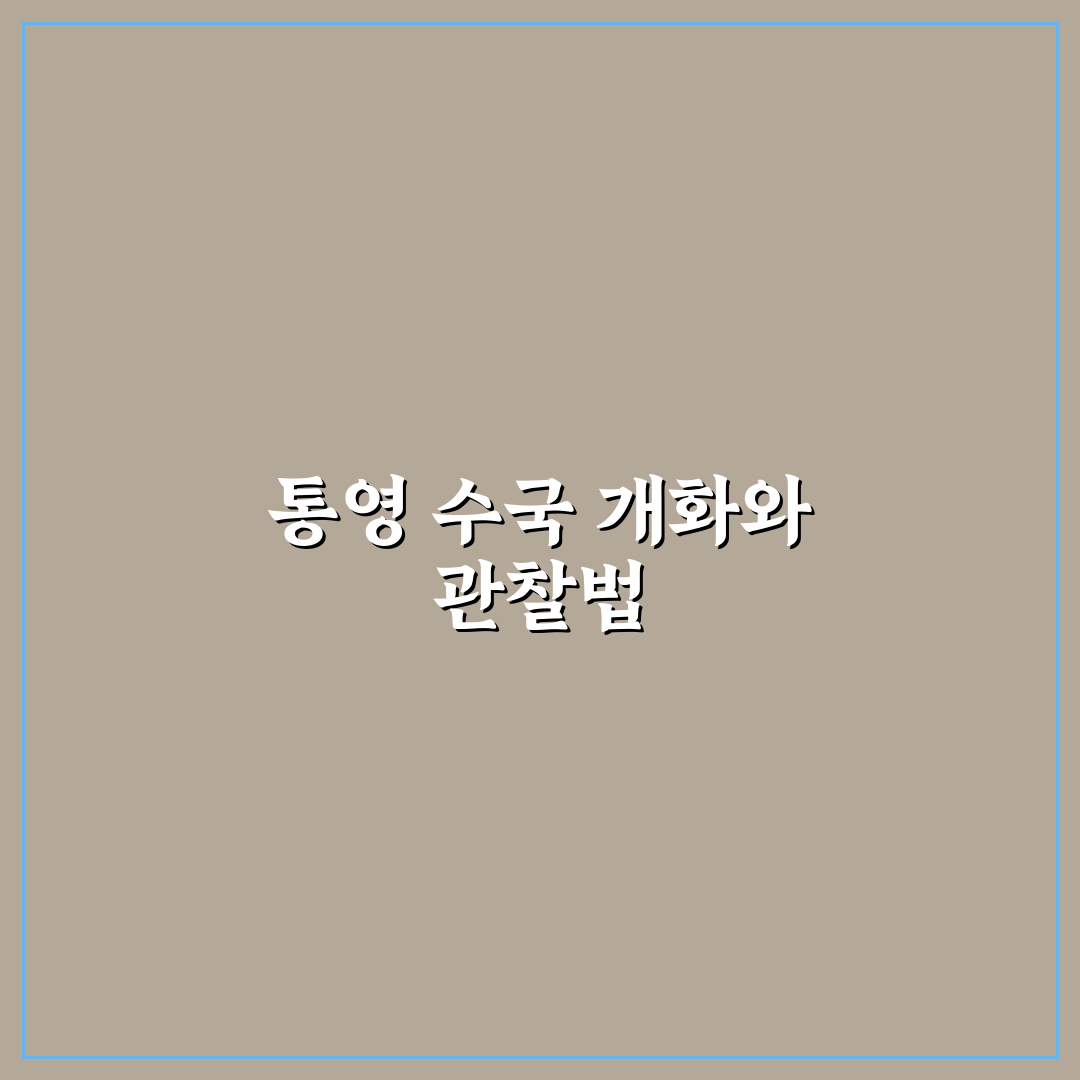 통영 수국 개화시기와 꽃구경 꿀팁 정리