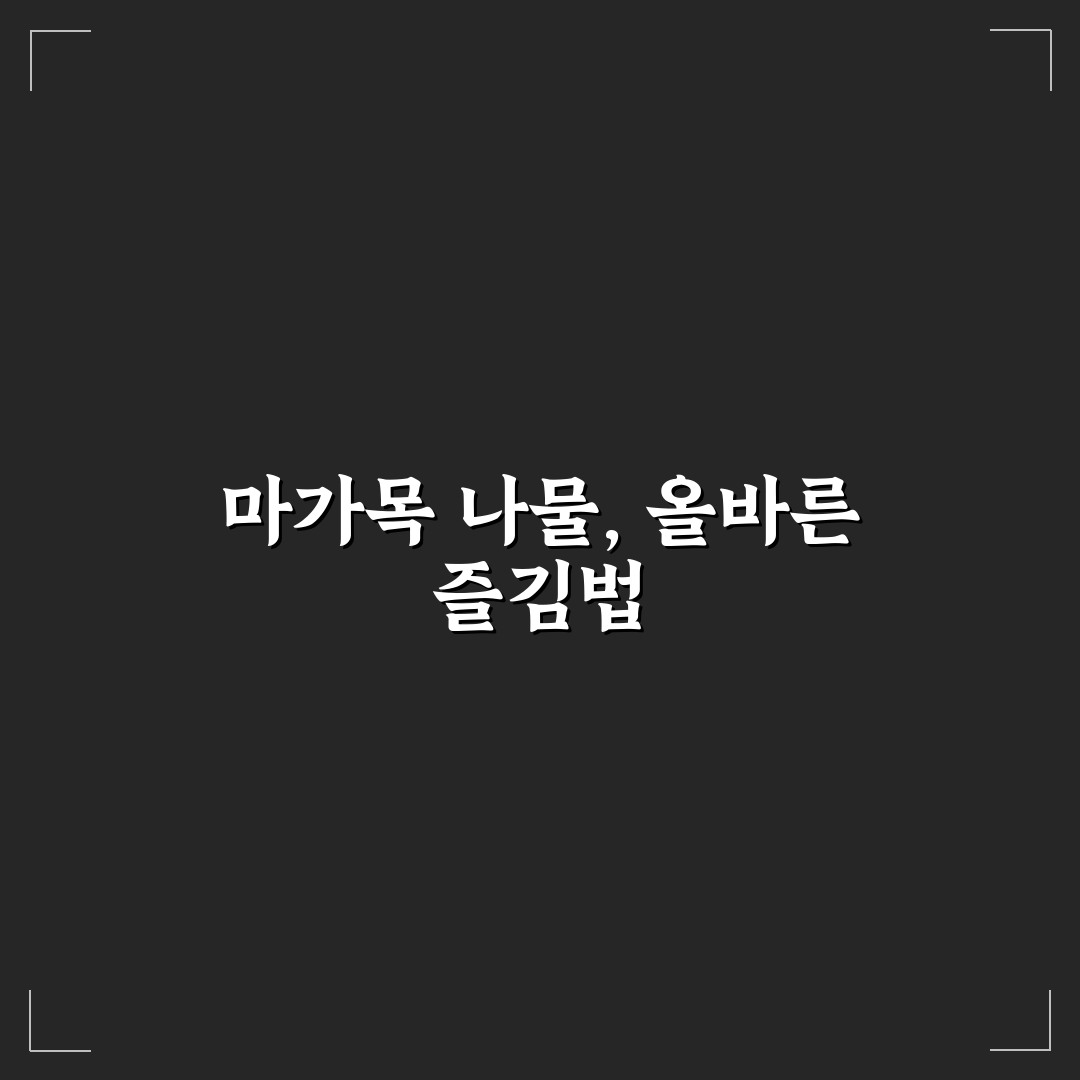 마가목 나물로 먹는방법과 초보자 꿀팁 정리