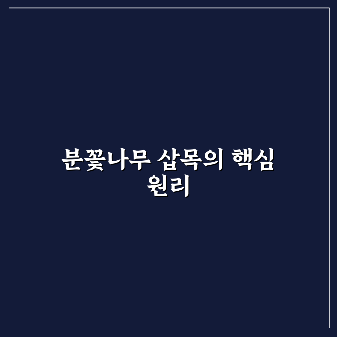 분꽃나무 삽목 방법과 꿀팁 쉽게 알려드려요
