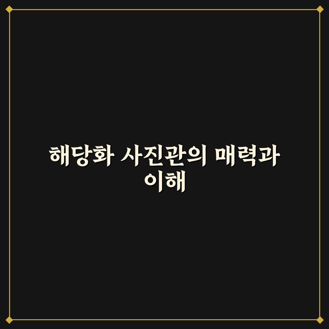 해당화 사진관 방문 전 알아두면 좋은 꿀팁 정리