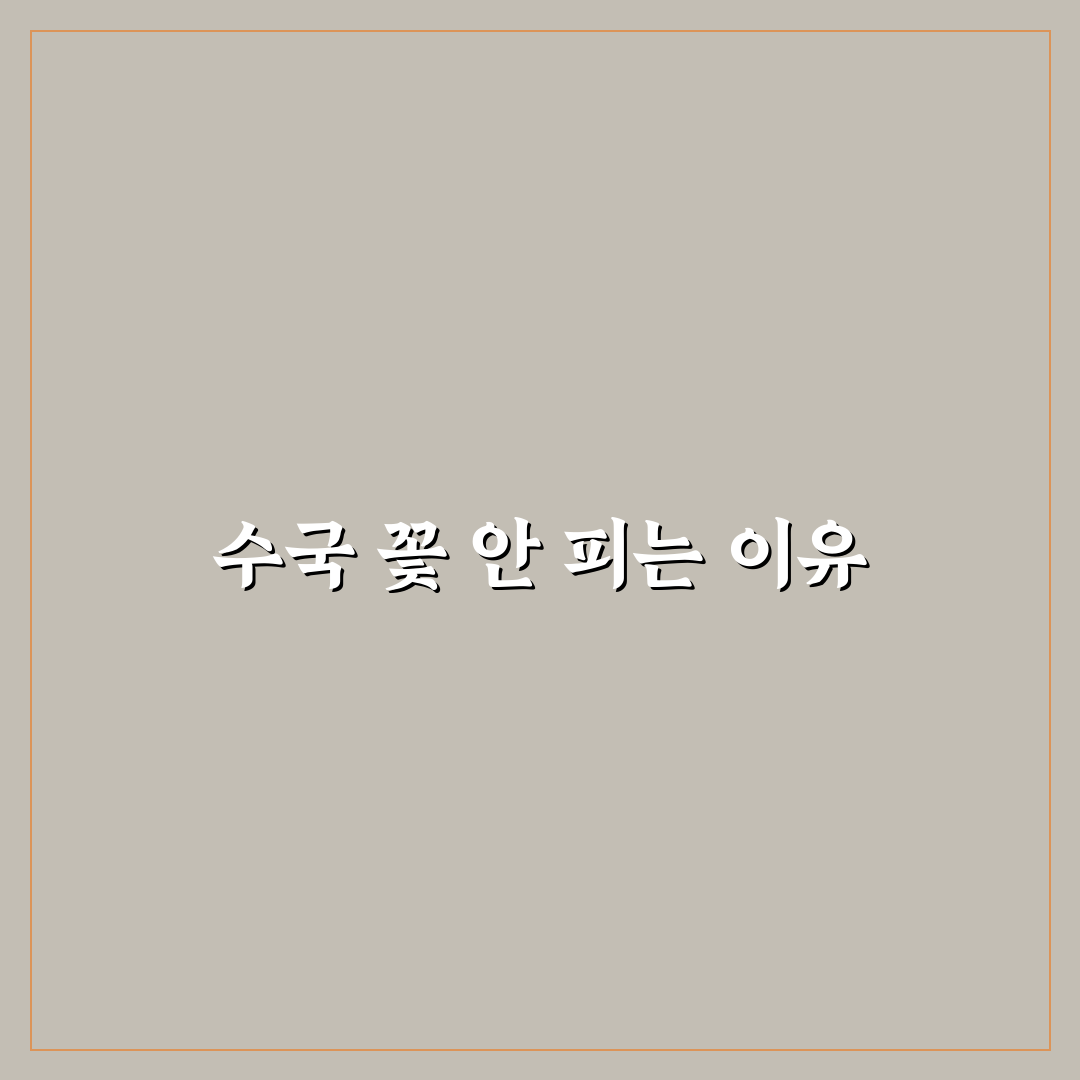 수국 꽃 안피는 이유와 해결 꿀팁 쉽게 알려드려요