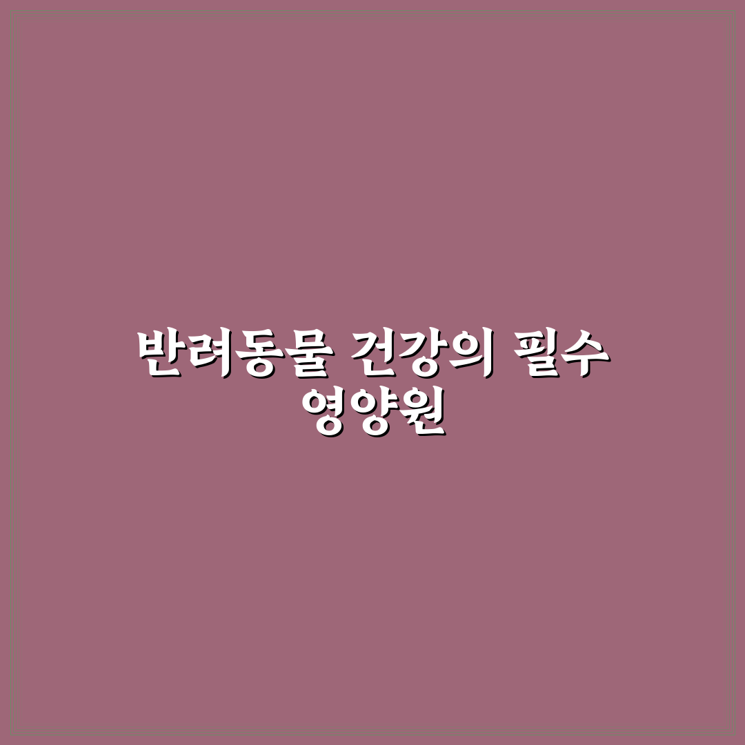 레카덤 오메가3 펫 효과와 구매 꿀팁 알려드려요