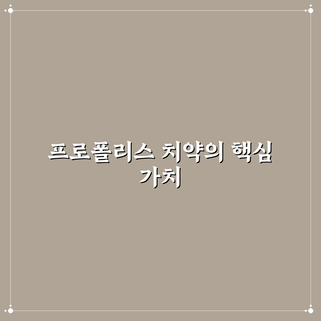 프로폴리스 어드밴스드 치약 사용법과 주요 꿀팁 정리