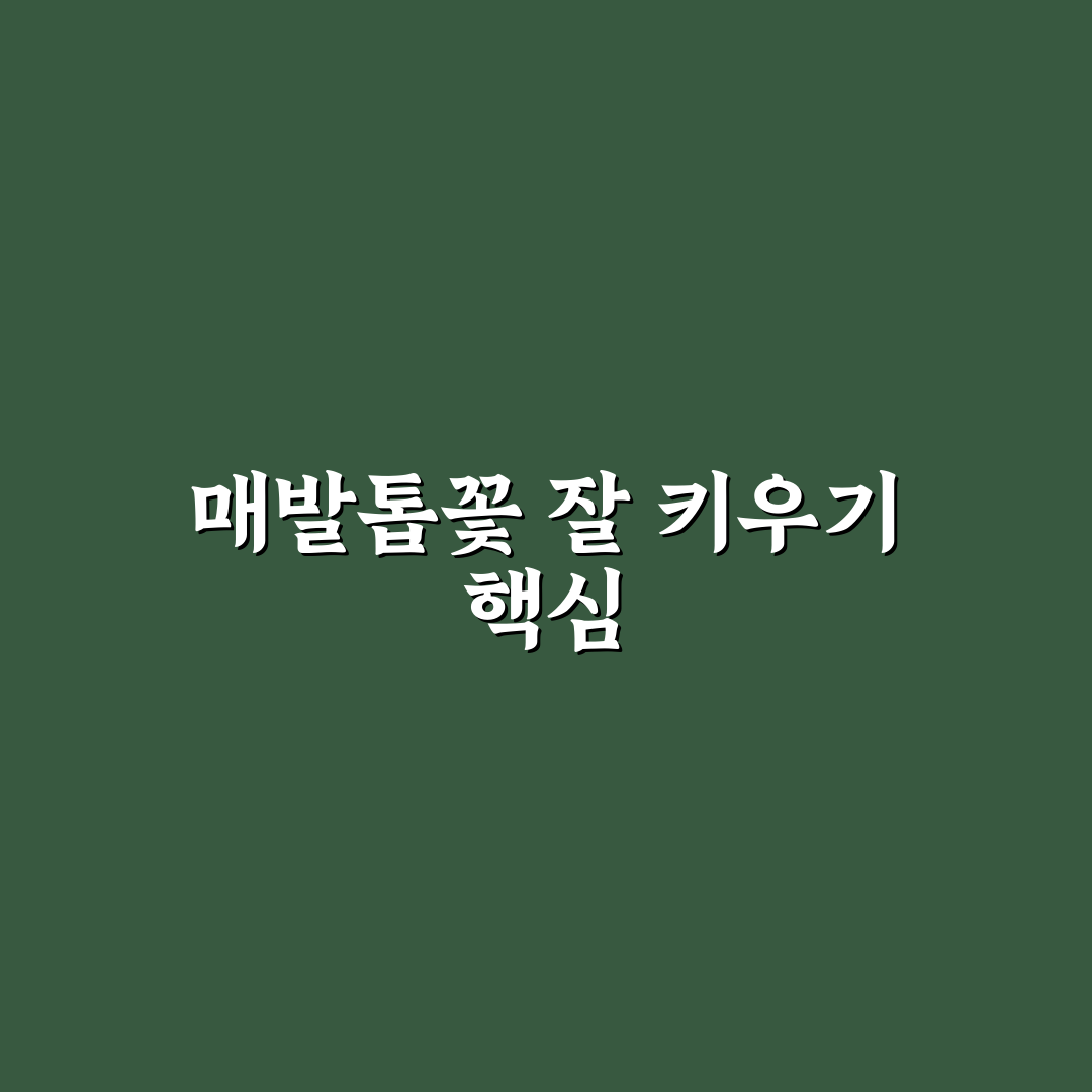 매발톱꽃 키우기 꿀팁 초보자도 쉽게 따라해요
