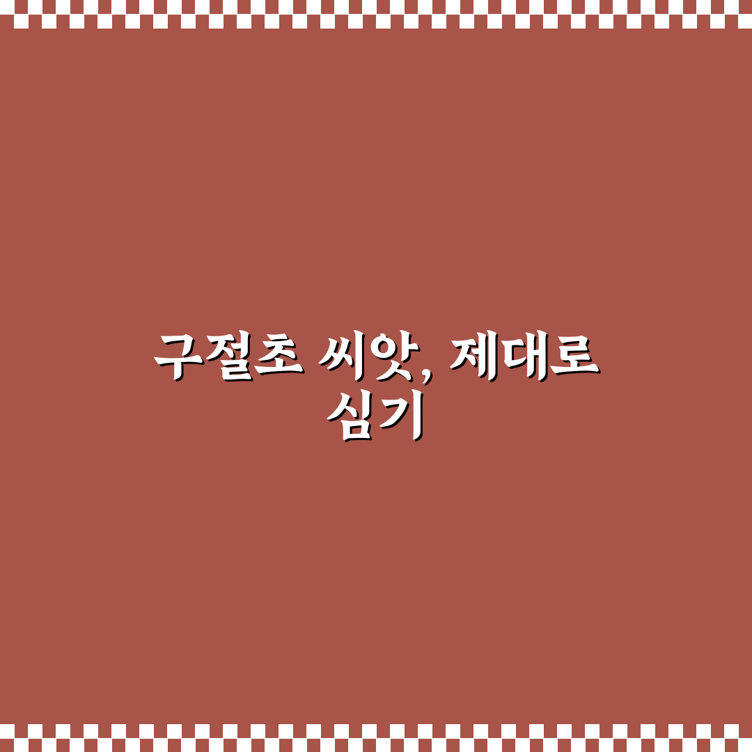 구절초 씨앗 파종 방법과 꿀팁 쉽게 알려드려요